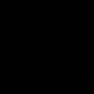 Meet your Posher, Rico